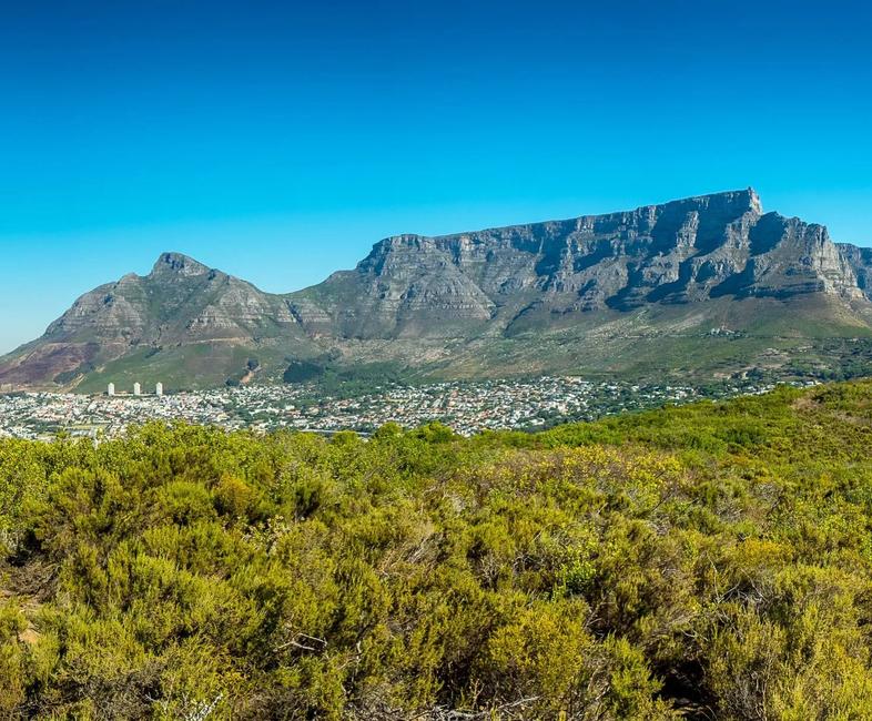 Table Mountain